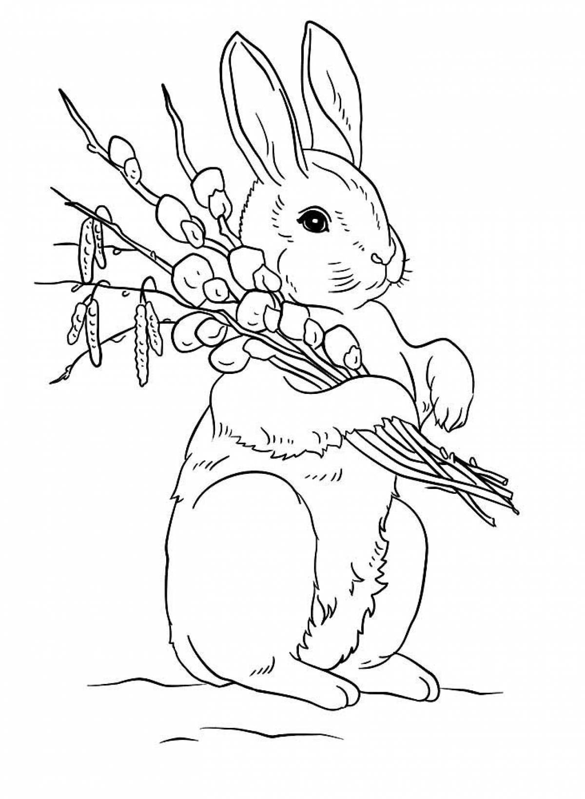 Rabbit and willow