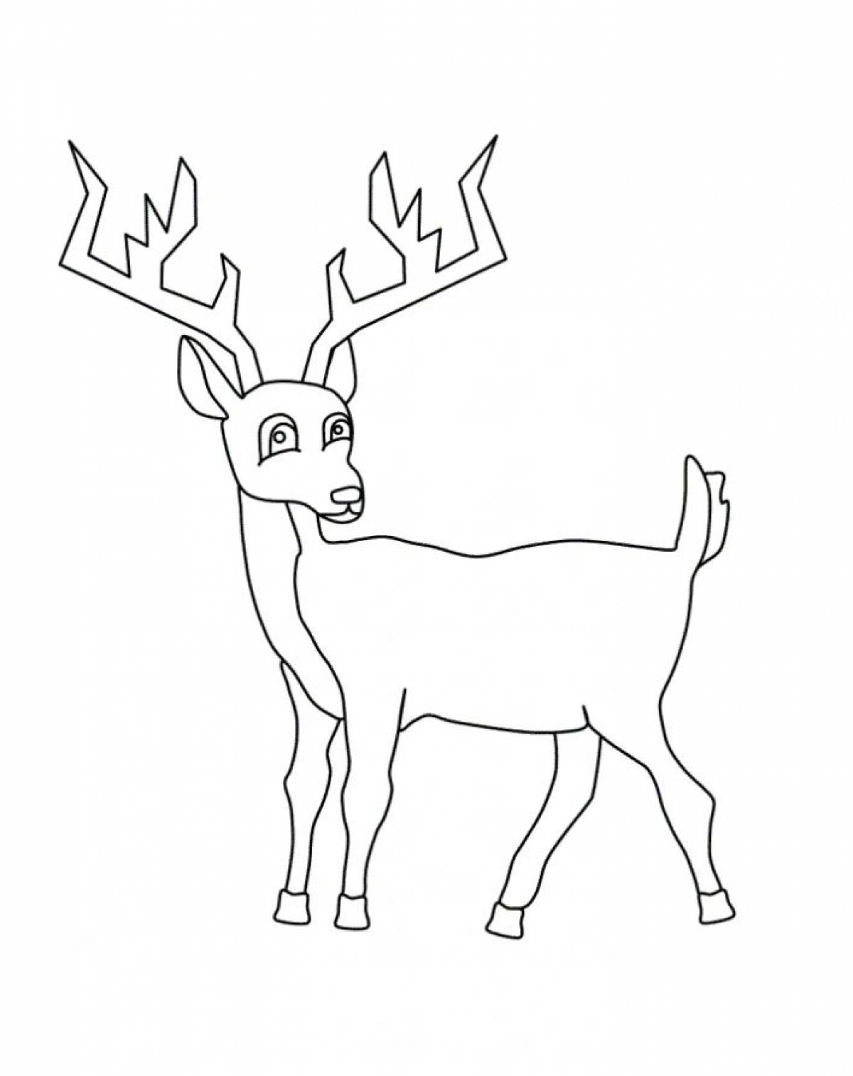 Photo Deer with branched horns