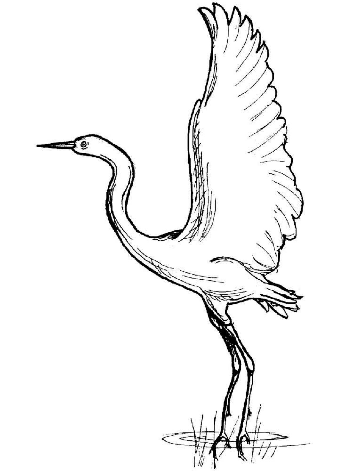 Crane drawing