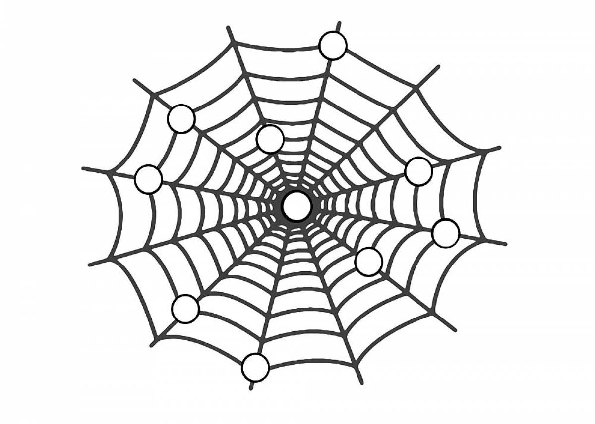 Photo Spider web coloring page