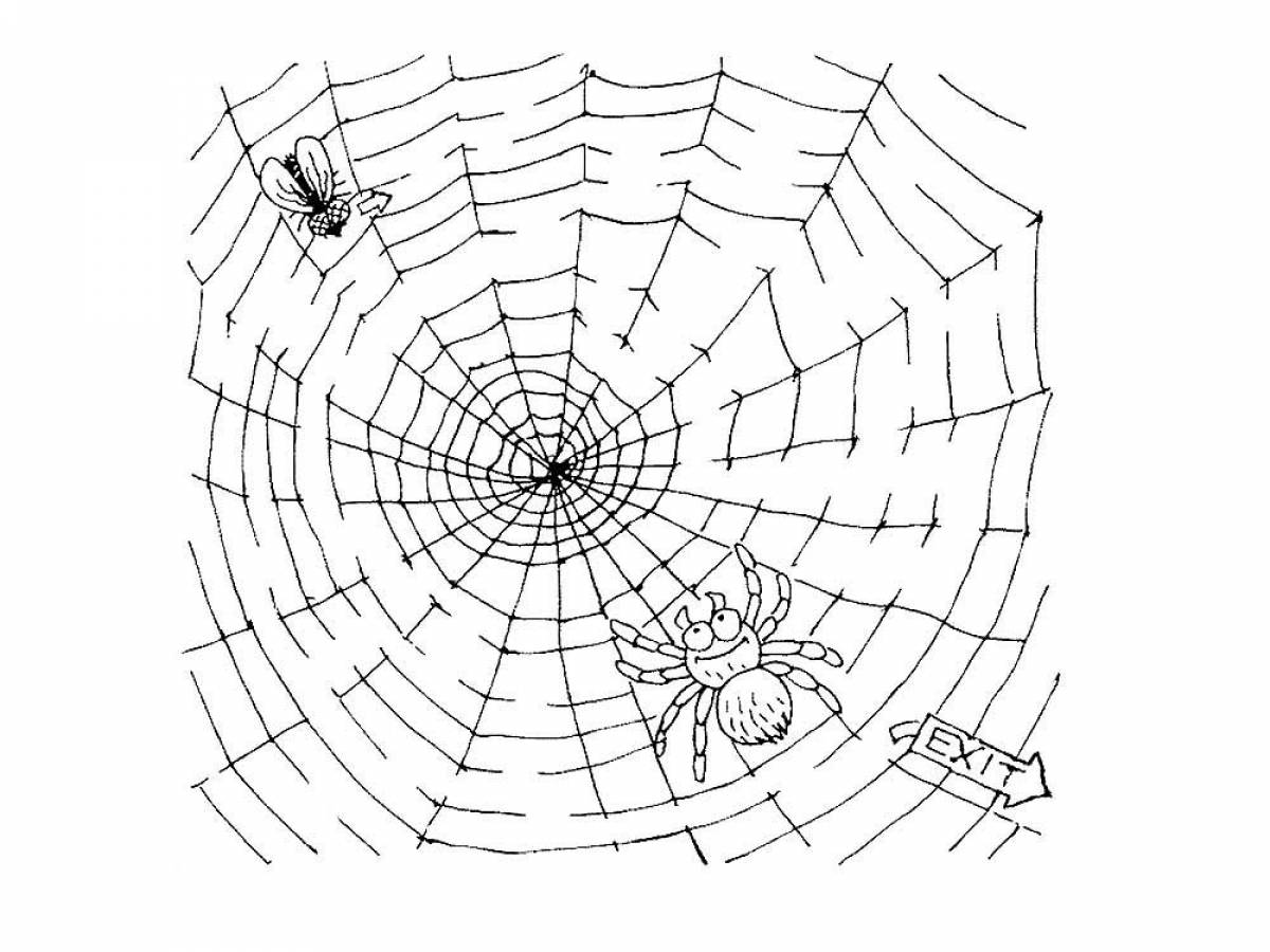 Photo Spider web pattern