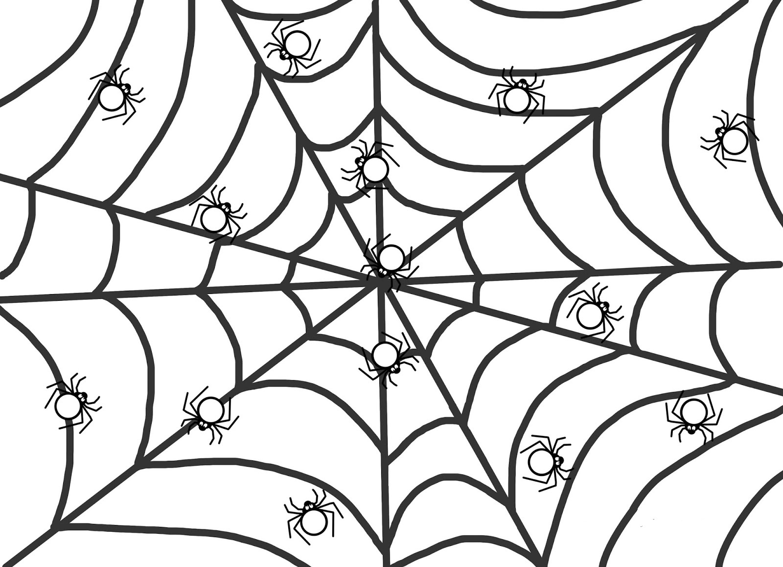 Photo Spiders on the web