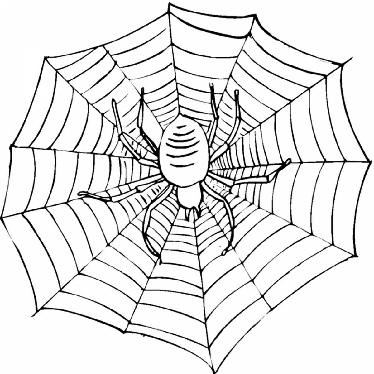 Photo Spider web and spider coloring page