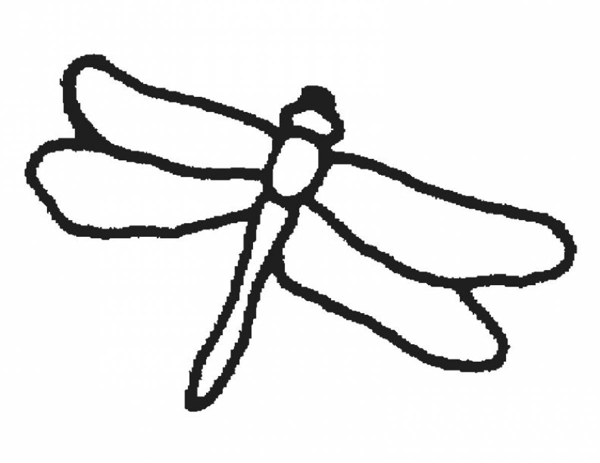 Little dragonfly