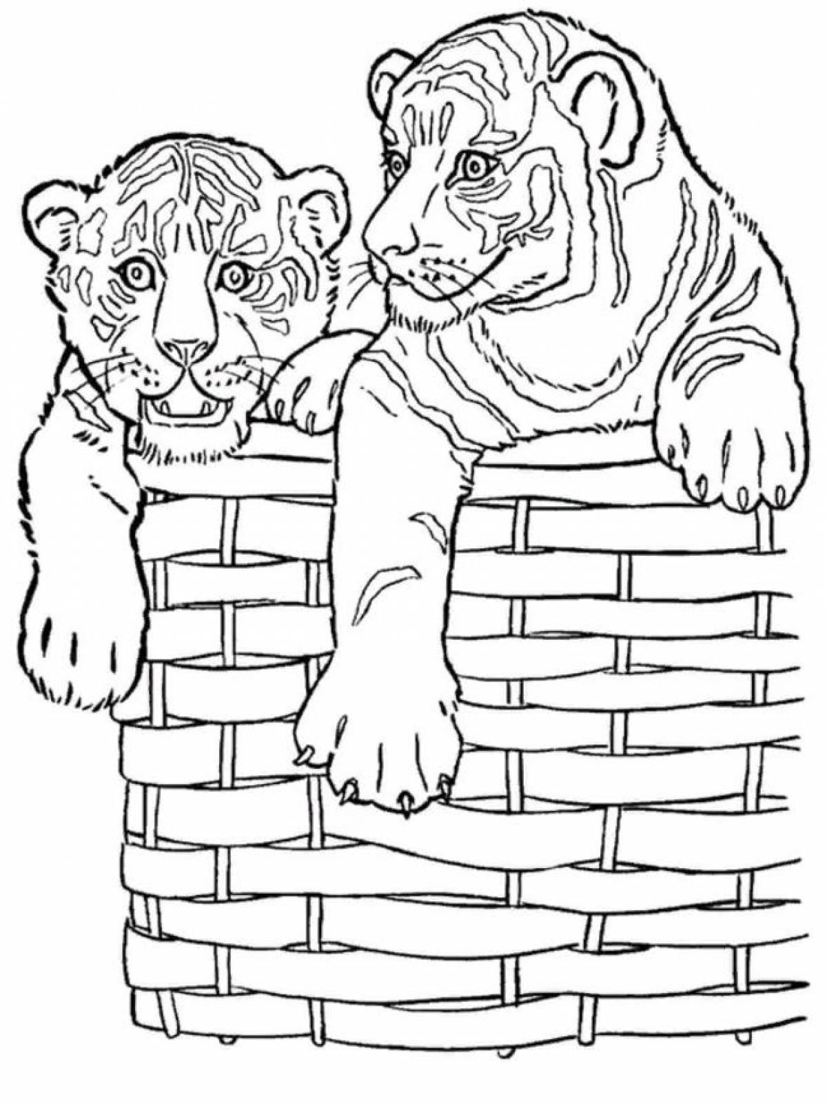 Тигры в корзинке