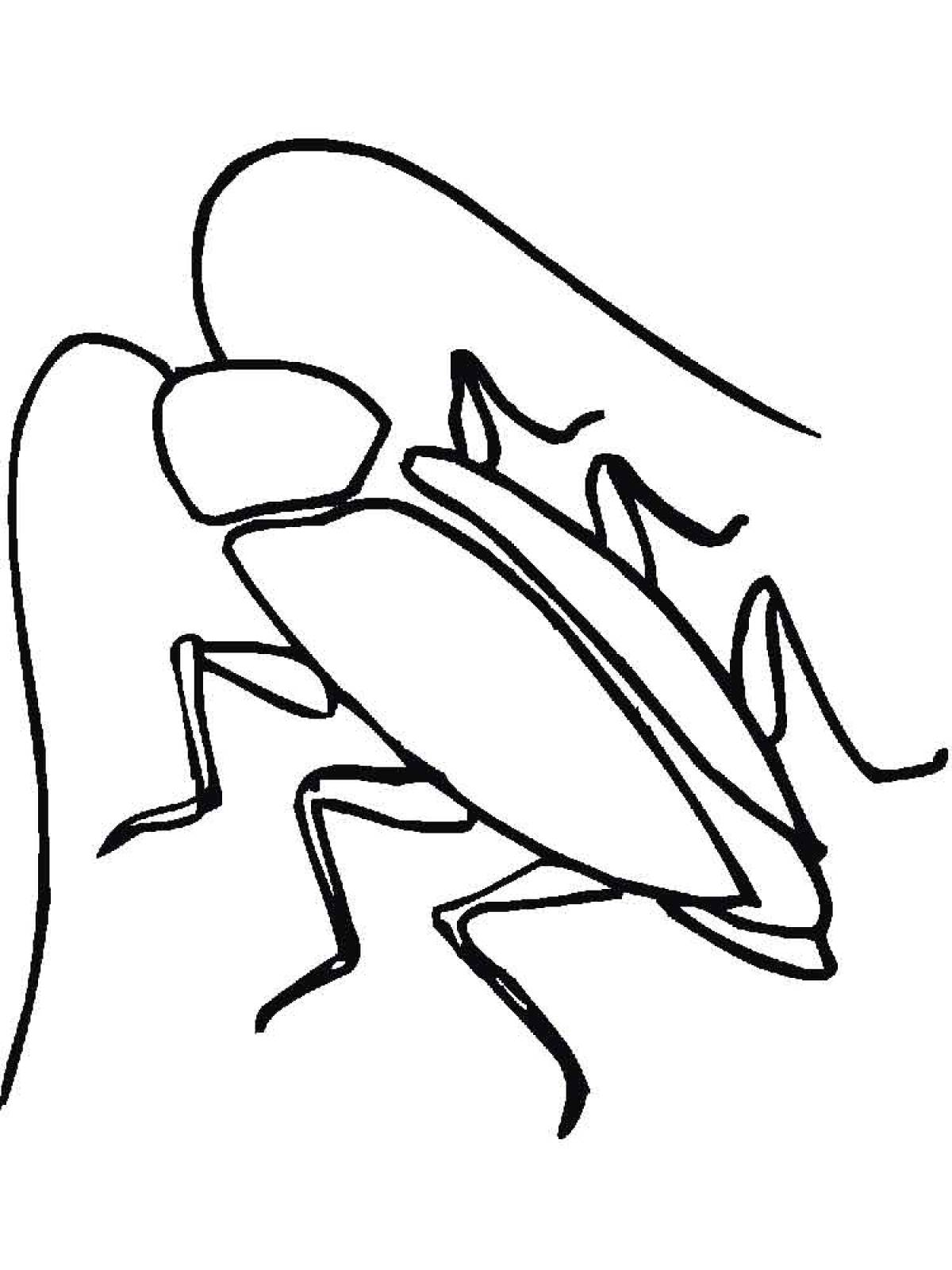 Photo Cockroach coloring page