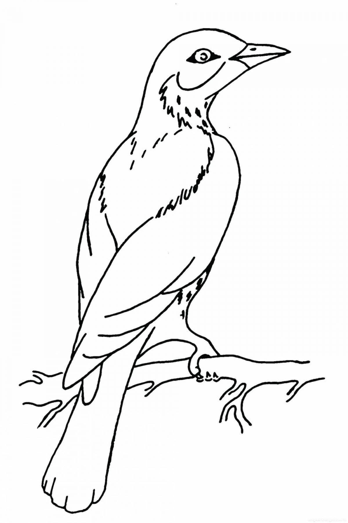 Фото Раскраска перелетная птица на ветке