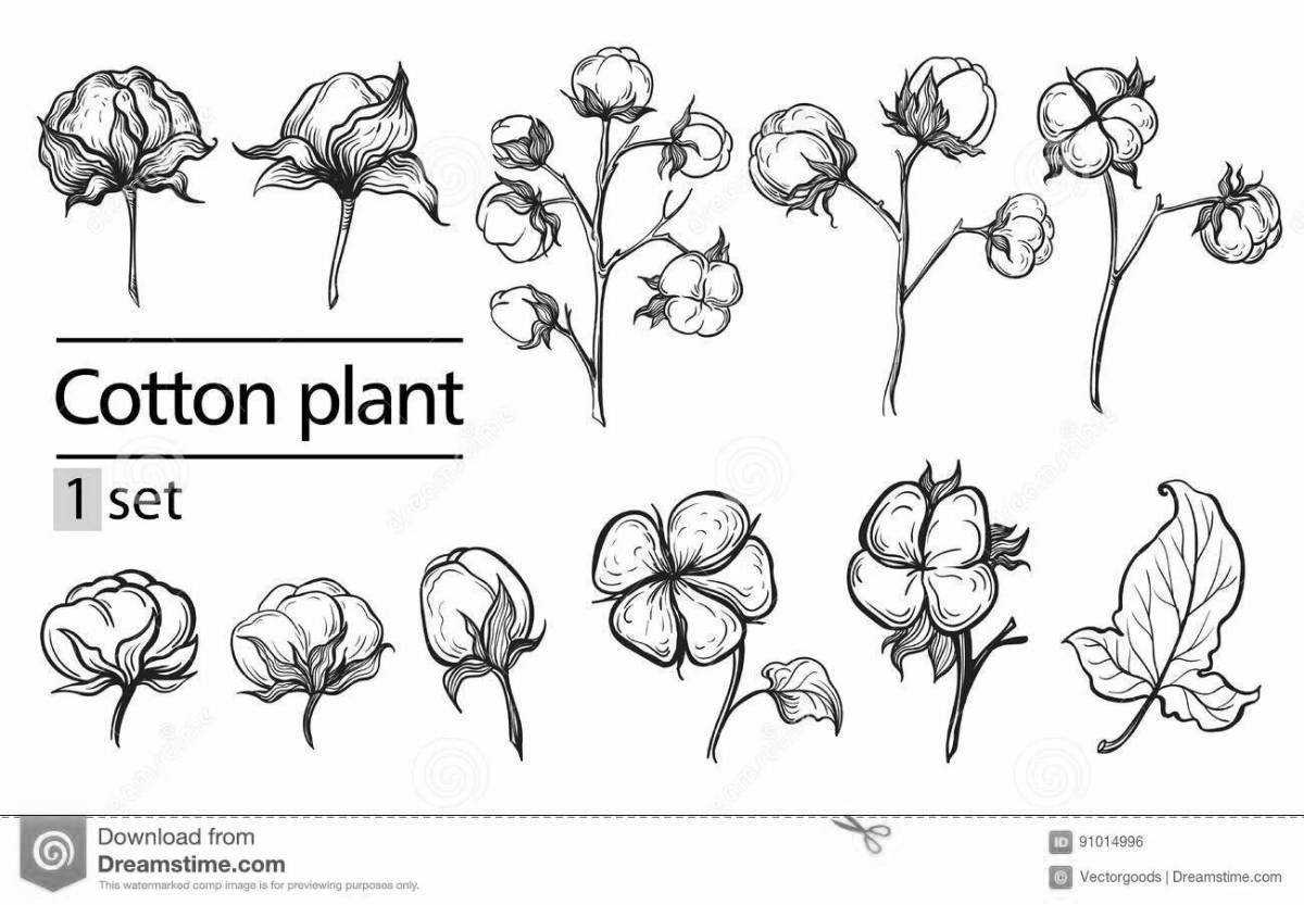 Как рисовать хлопок