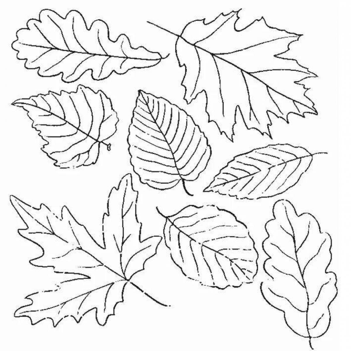 Раскрась листочки. Листочки раскраска. Раскраска листики осенние. Осенние листья раскраска для детей. Осенние листья трафареты для вырезания.