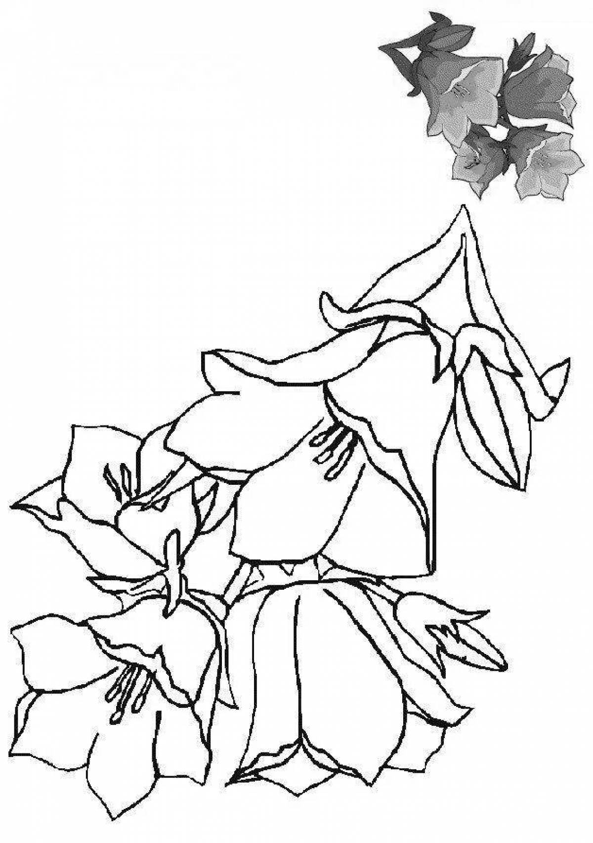 Фото Радостная раскраска для детей цветы колокольчики