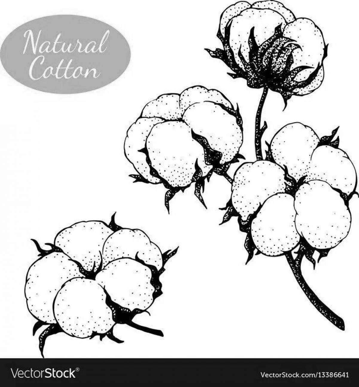 Playful cotton coloring page