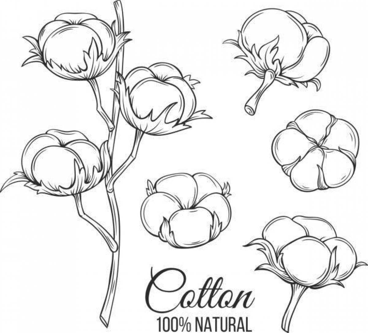 Great cotton coloring book