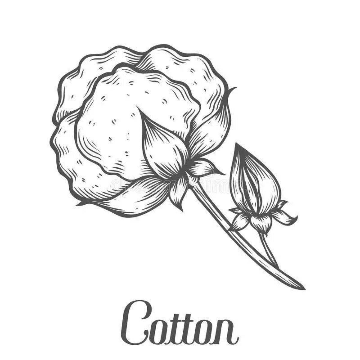 Coloring sweet cotton