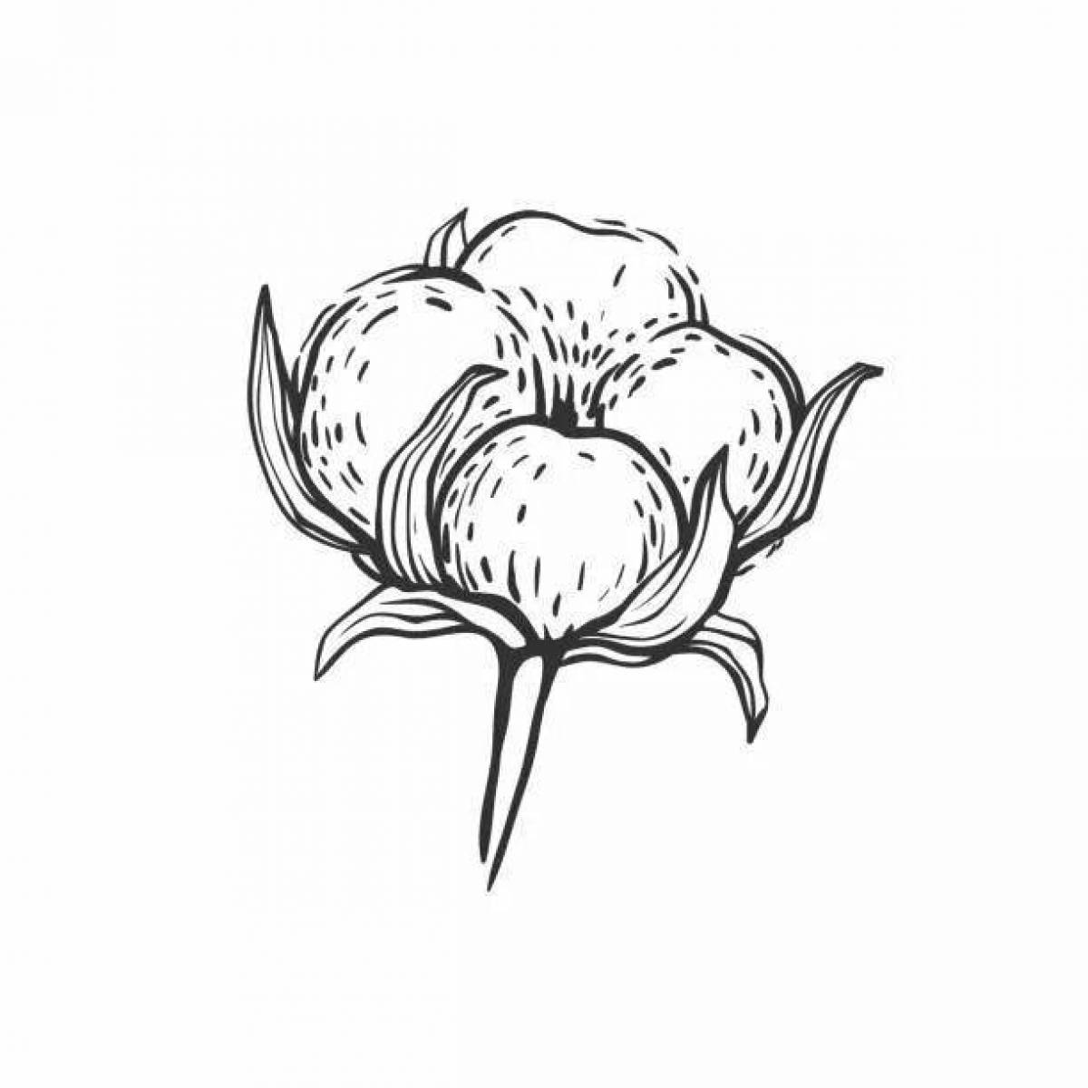 Relaxing cotton coloring page