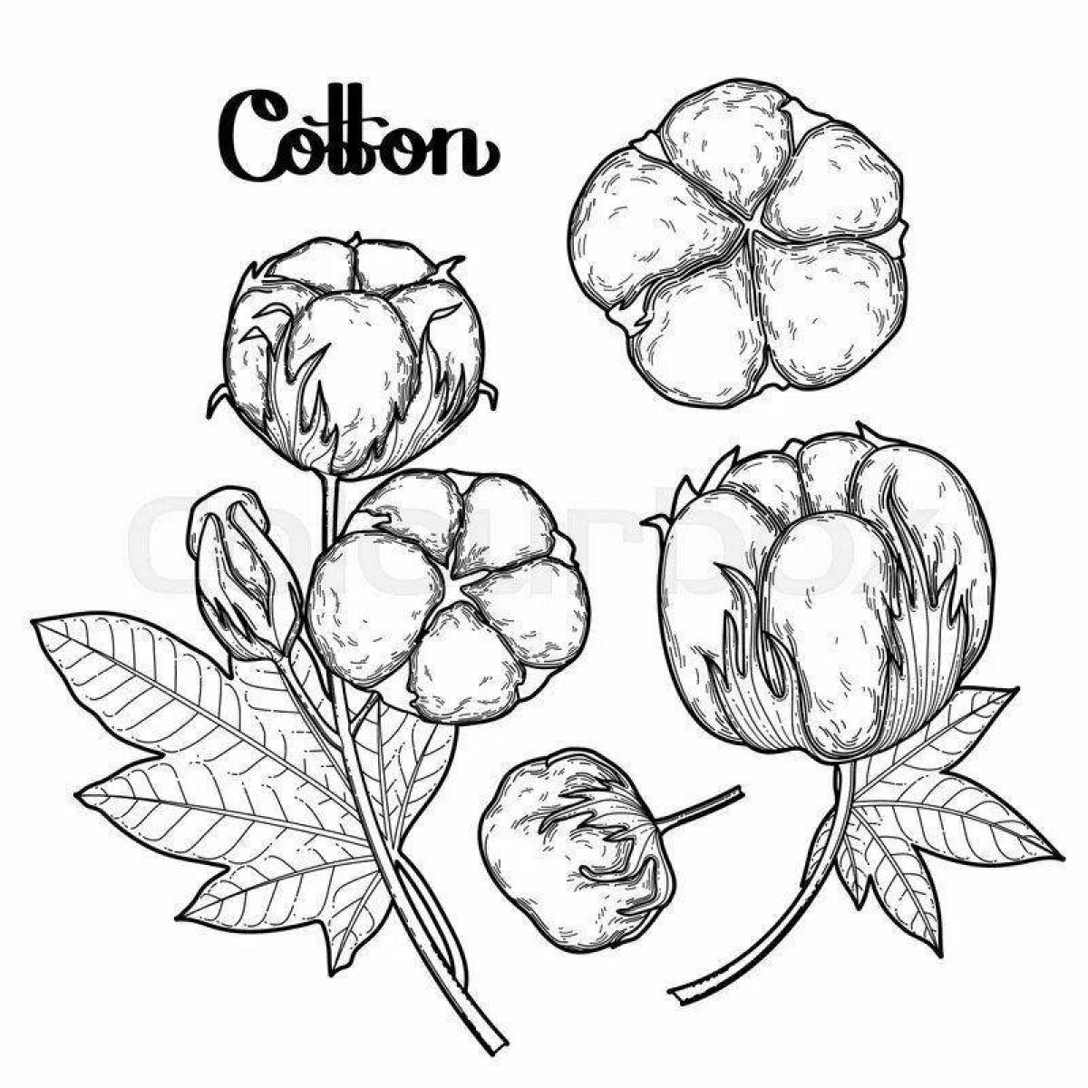Calm cotton coloring page