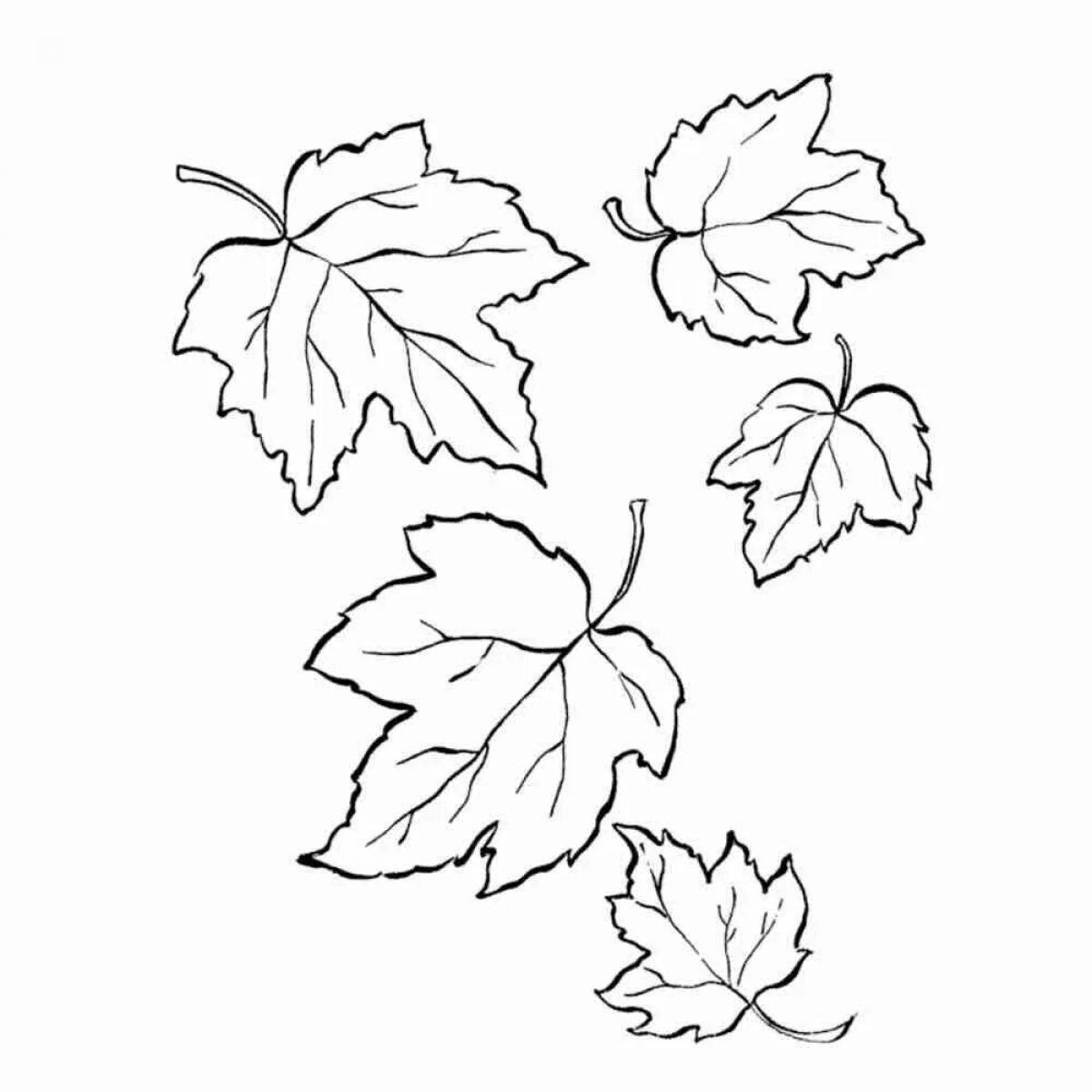 Фото Яркая страница раскраски осенних листьев