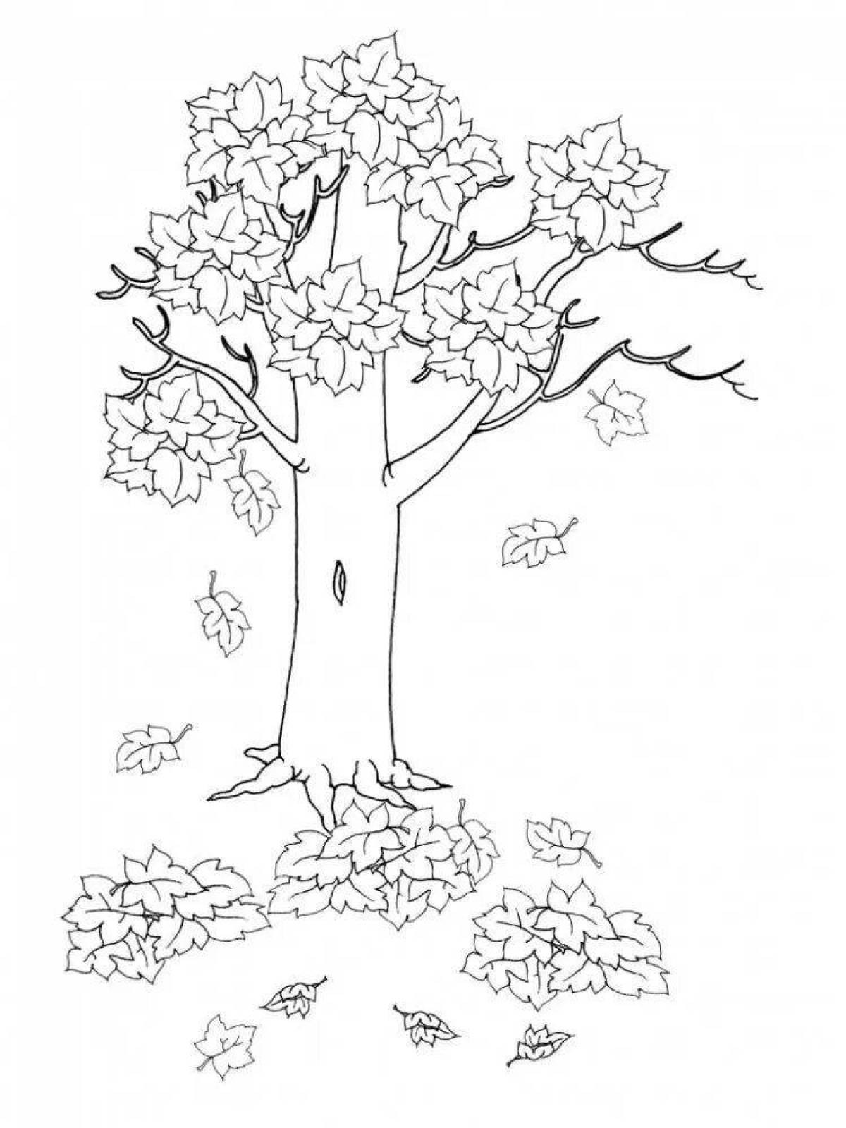Фото Блестяще иллюстрированная страница раскраски осенних листьев