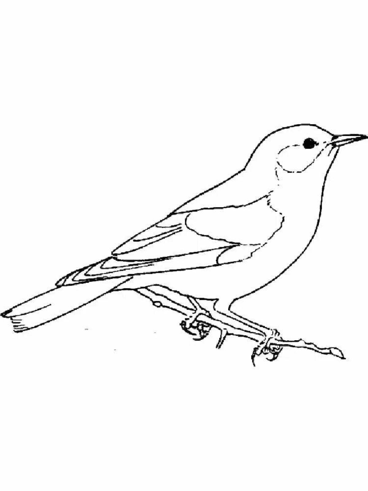 Charming oriole coloring page