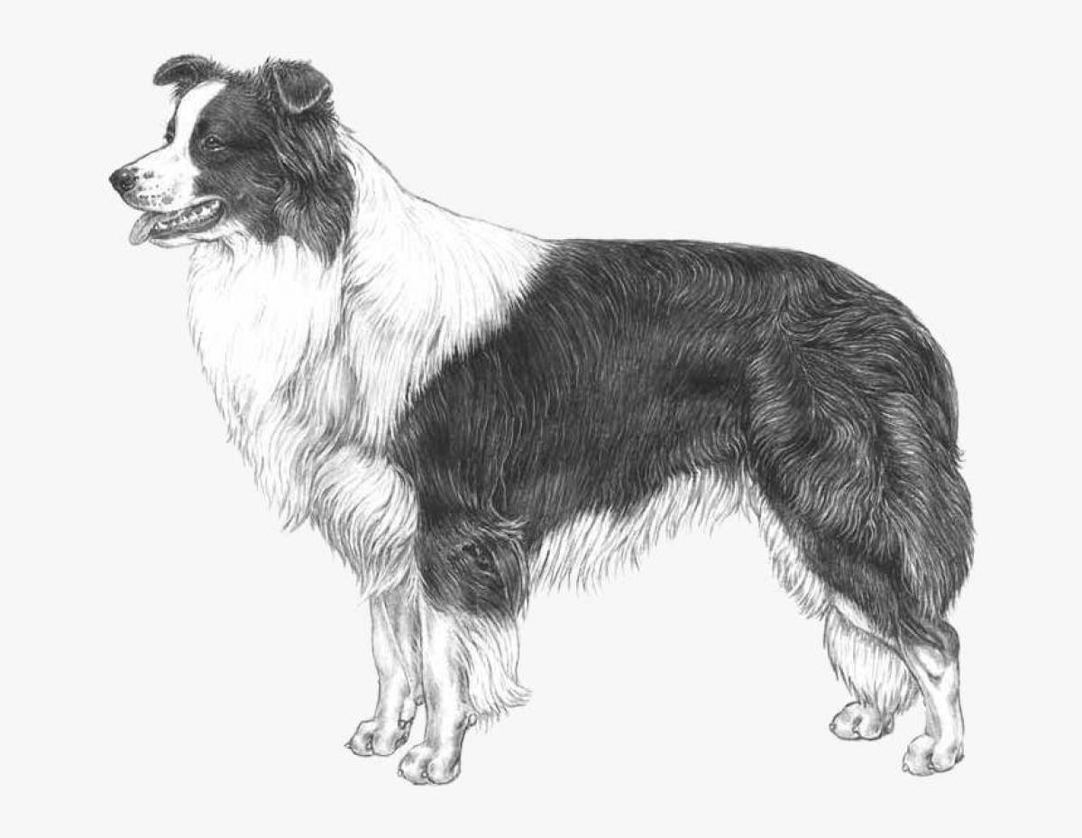 Физическое здоровье