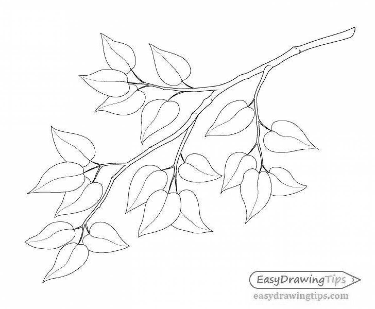 Ветки с листьями для рисования