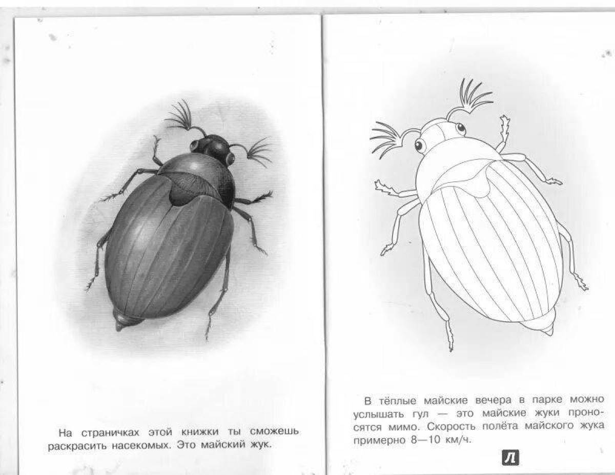 Как рисовать майского жука