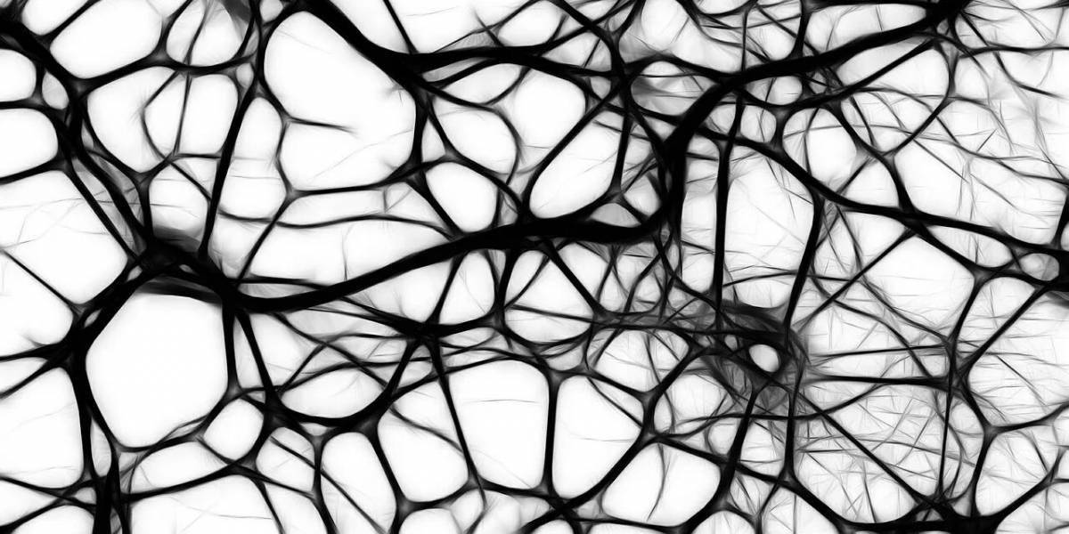 Фото Анимированная страница раскраски нейронной сети