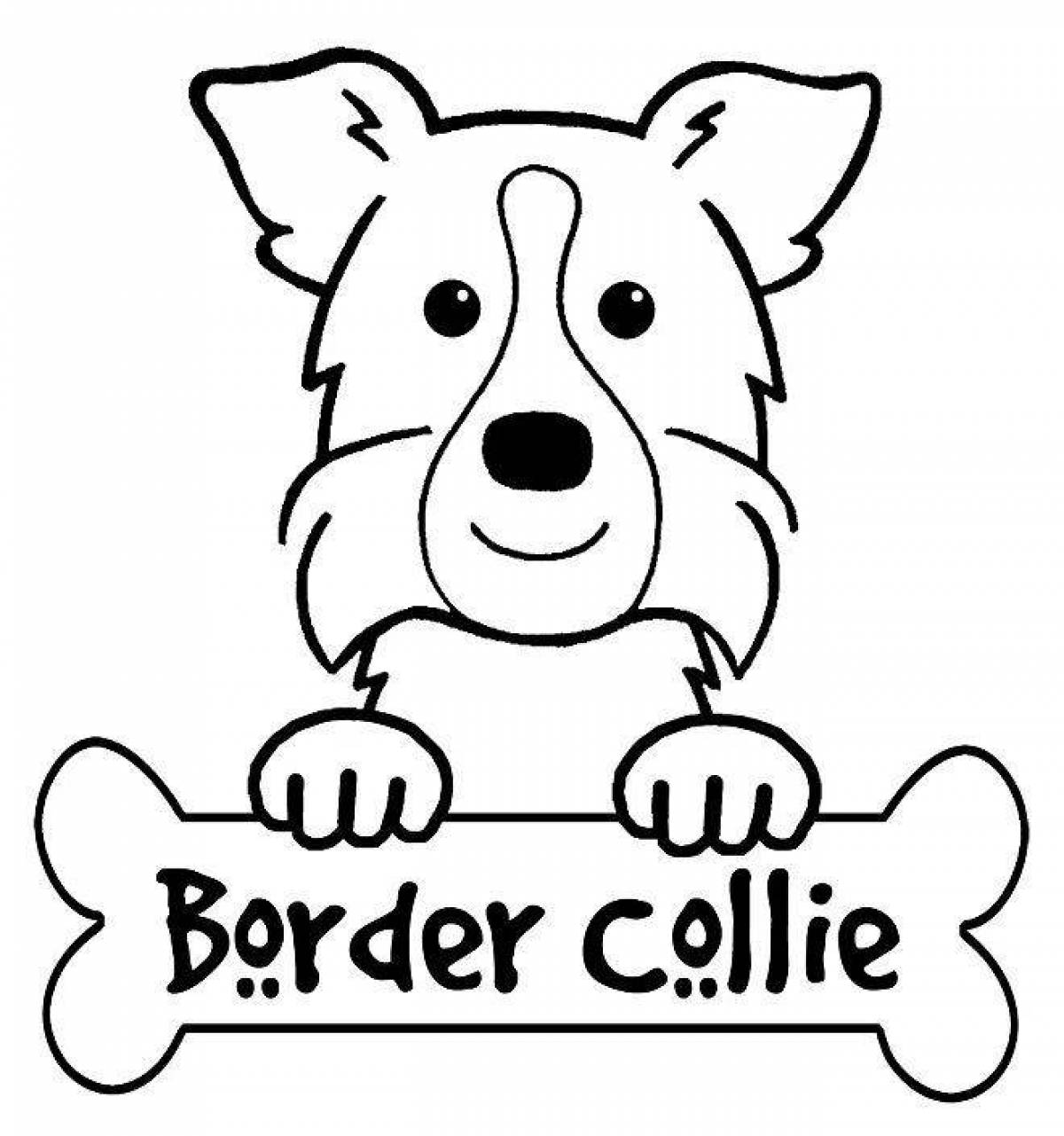 Coloring page brave border collie