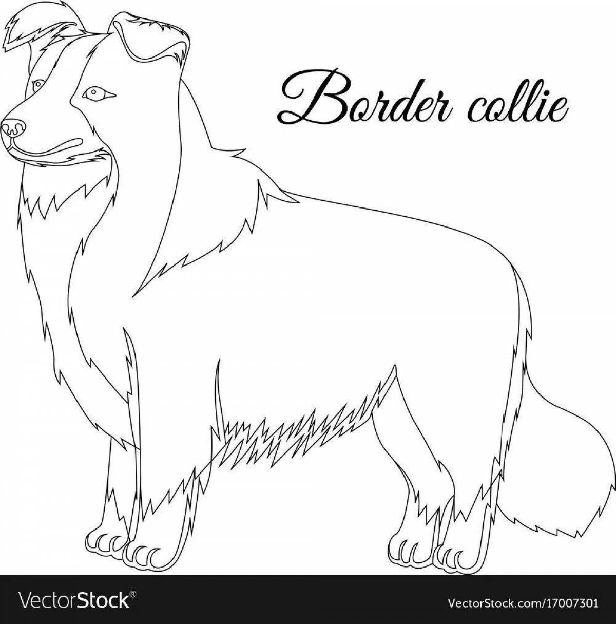 Border Collie Protective Coloring Page