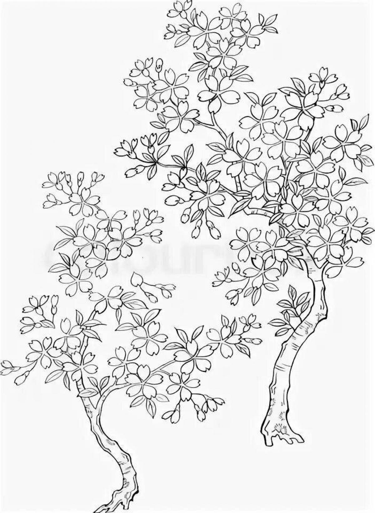 Фото Раскраска гламурная птица вишневого дерева