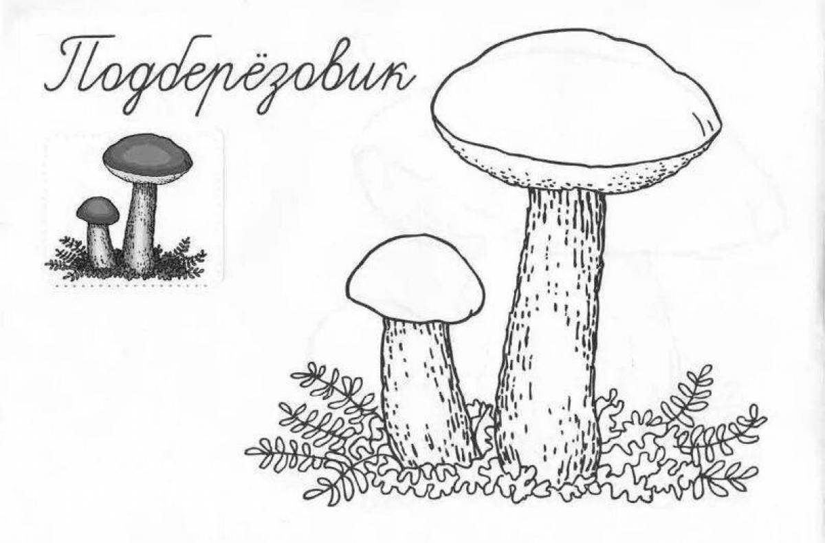Фото Поразительная раскраска съедобные грибы