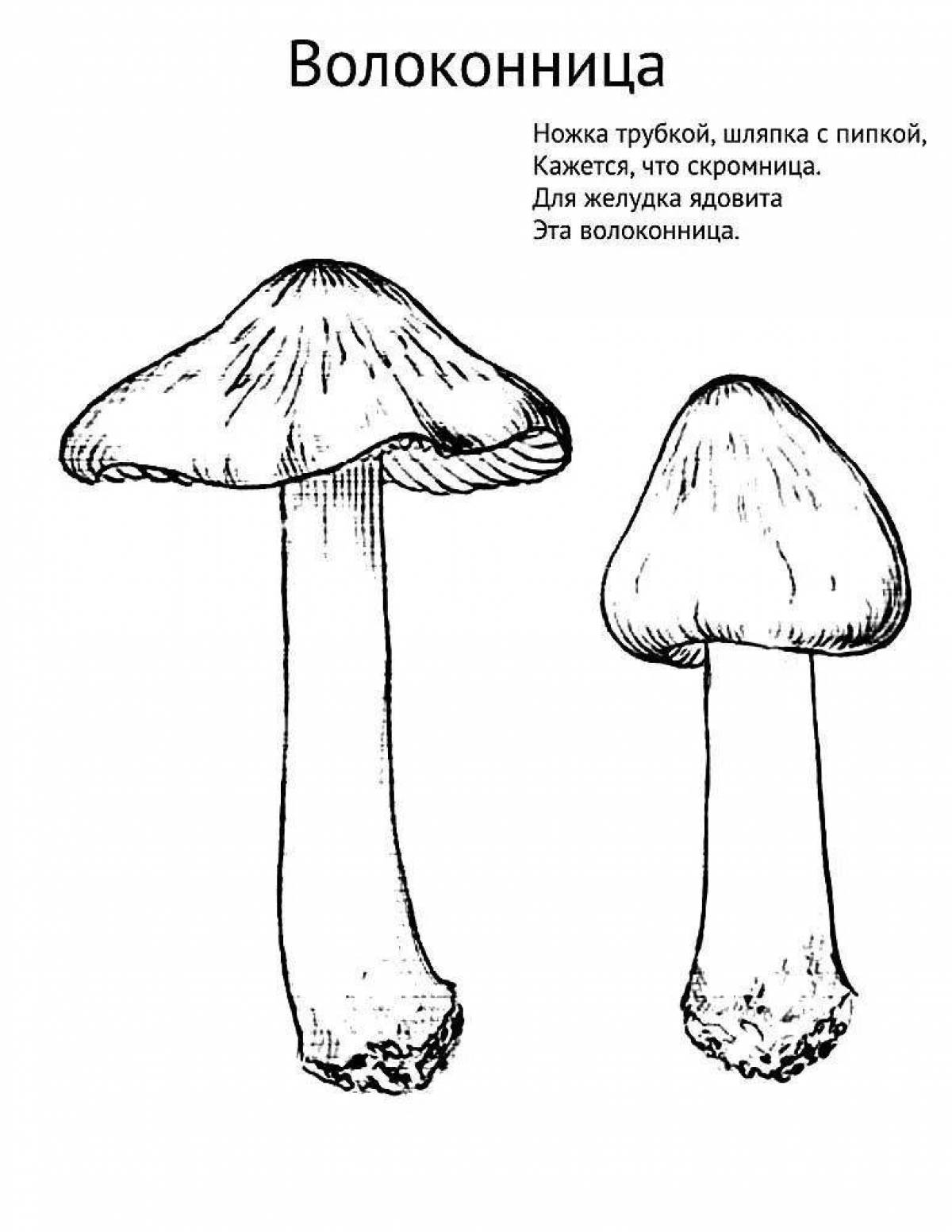 Фото Блестящая раскраска съедобные грибы