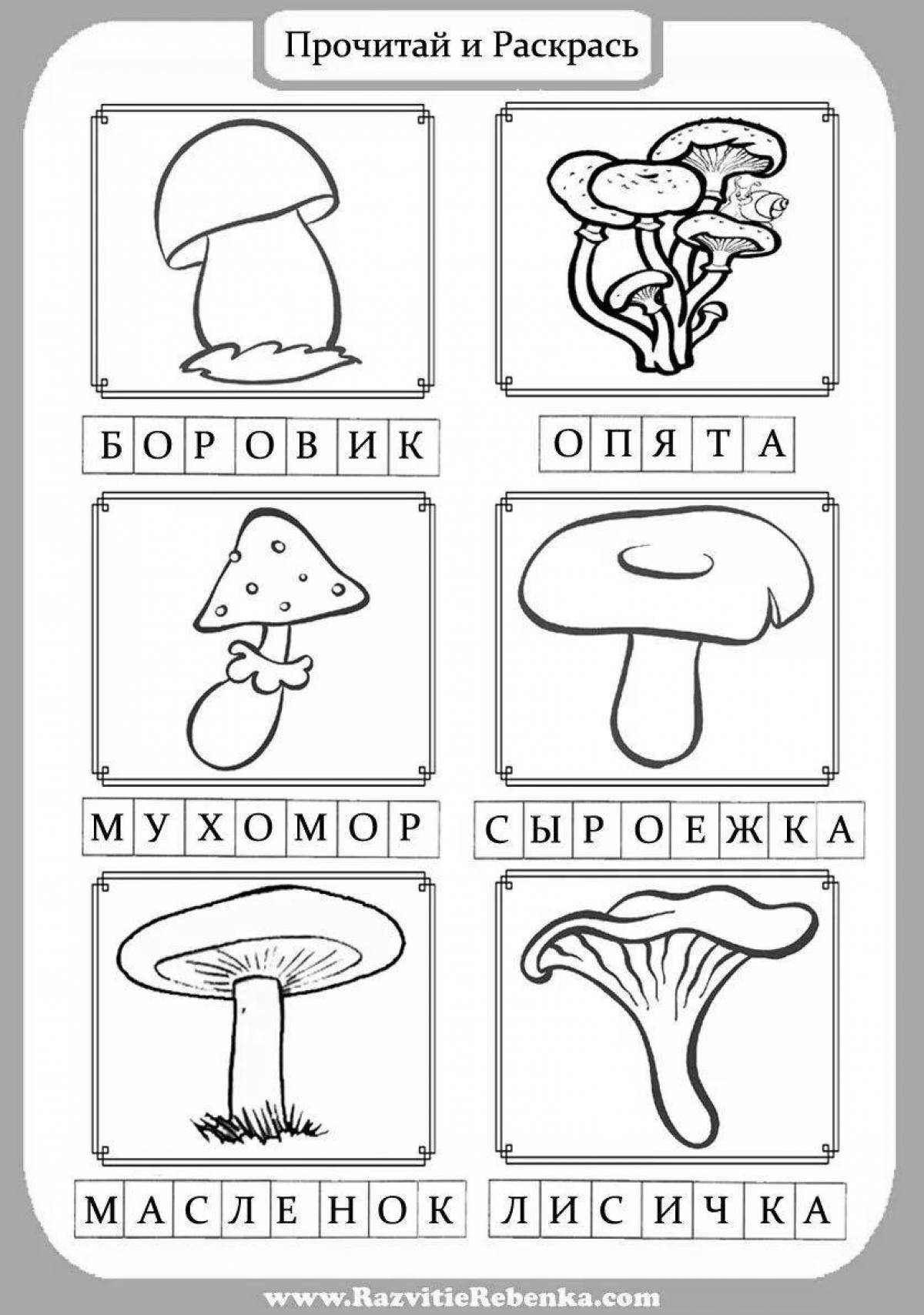Фото Поразительно раскраски съедобных грибов