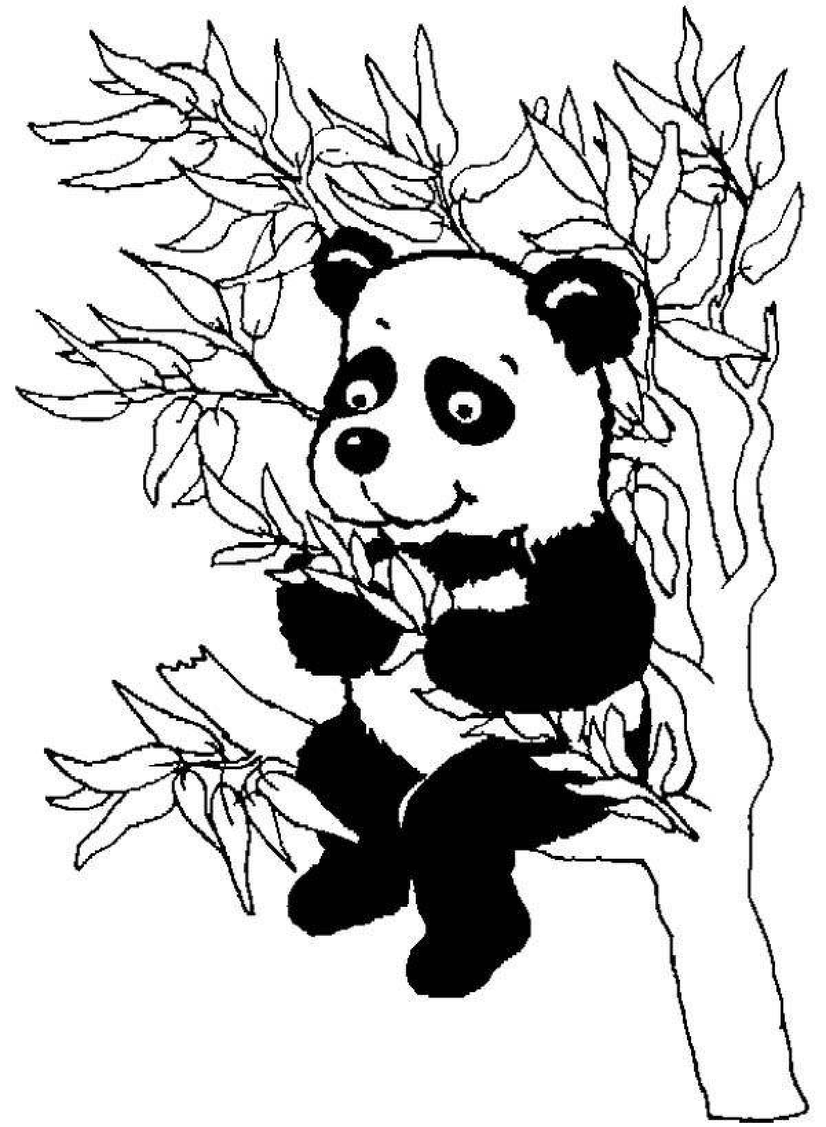 Фото Живая панда-раскраска