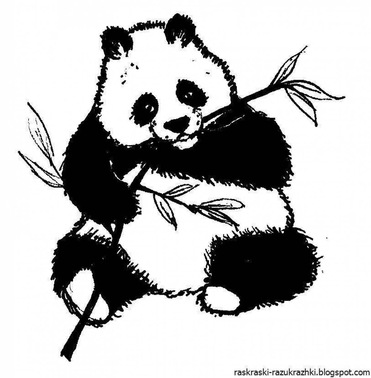 Фото Привлекательная панда раскраска