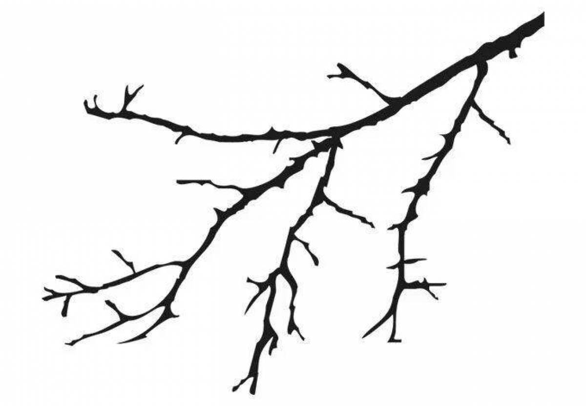 Фото Грандиозная раскраска ветка дерева