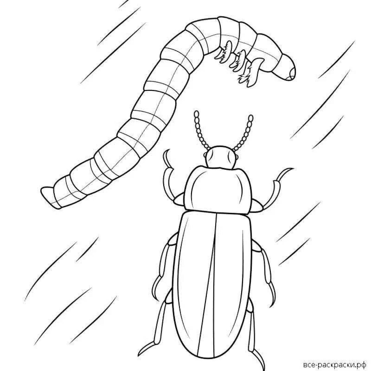 Фото Яркая страница раскраски майского жука
