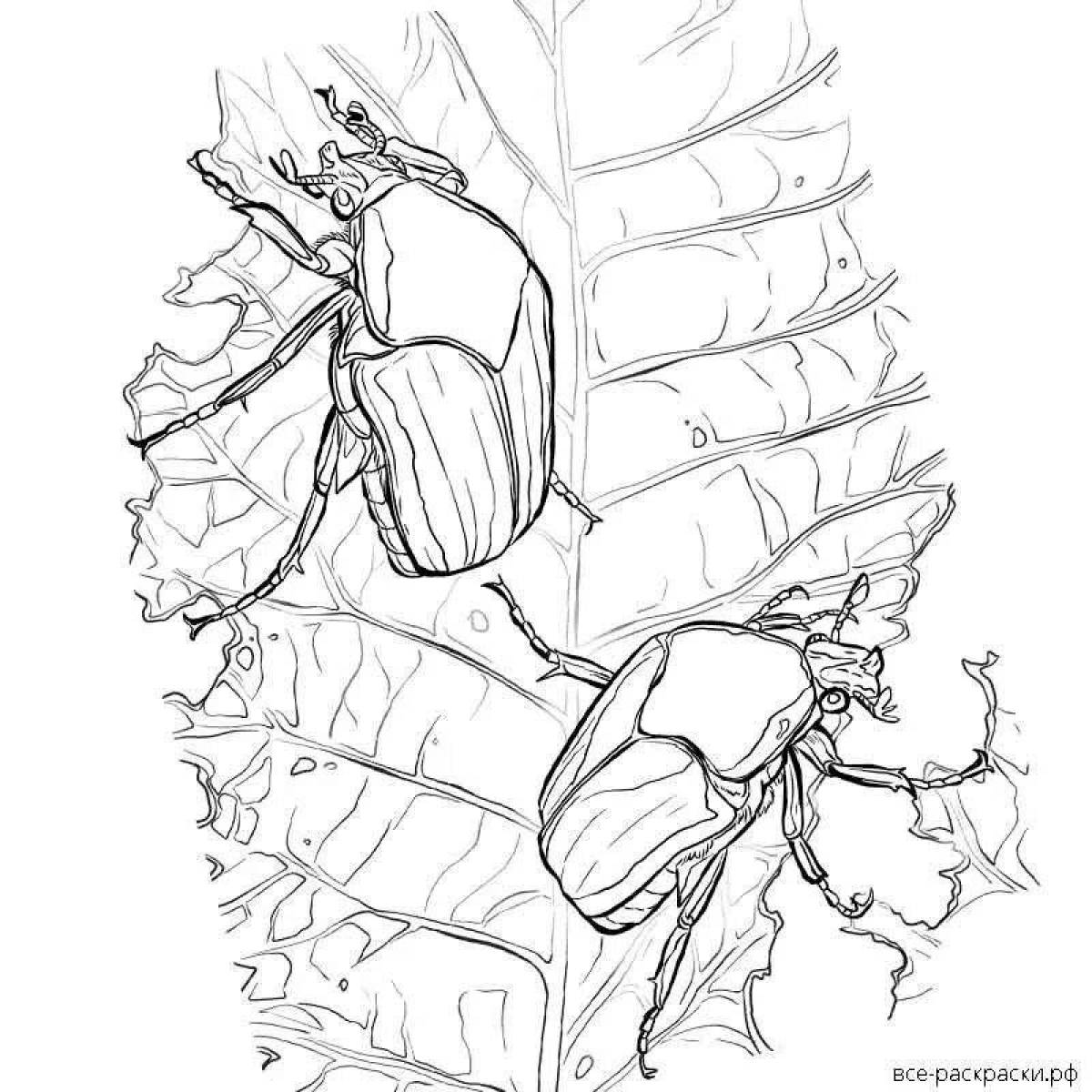 Фото Раскраска радостный майский жук