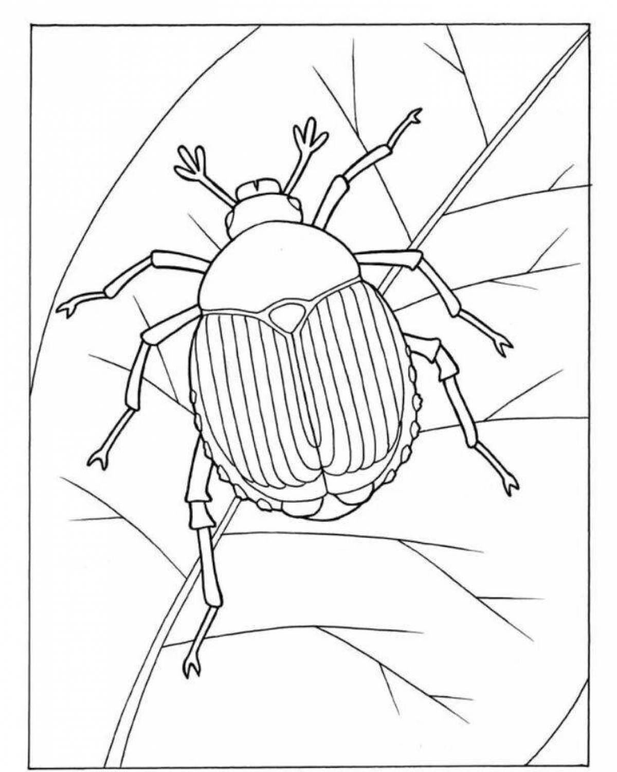 Фото Яркая раскраска майский жук