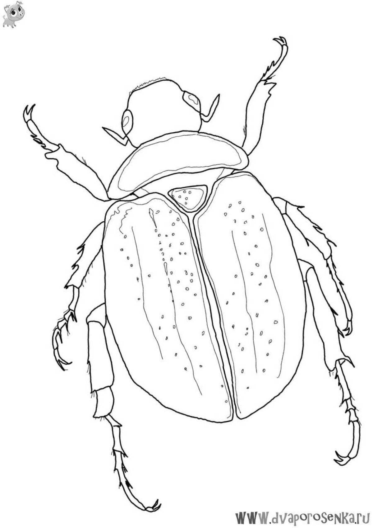 Фото Игривая страница раскраски майского жука