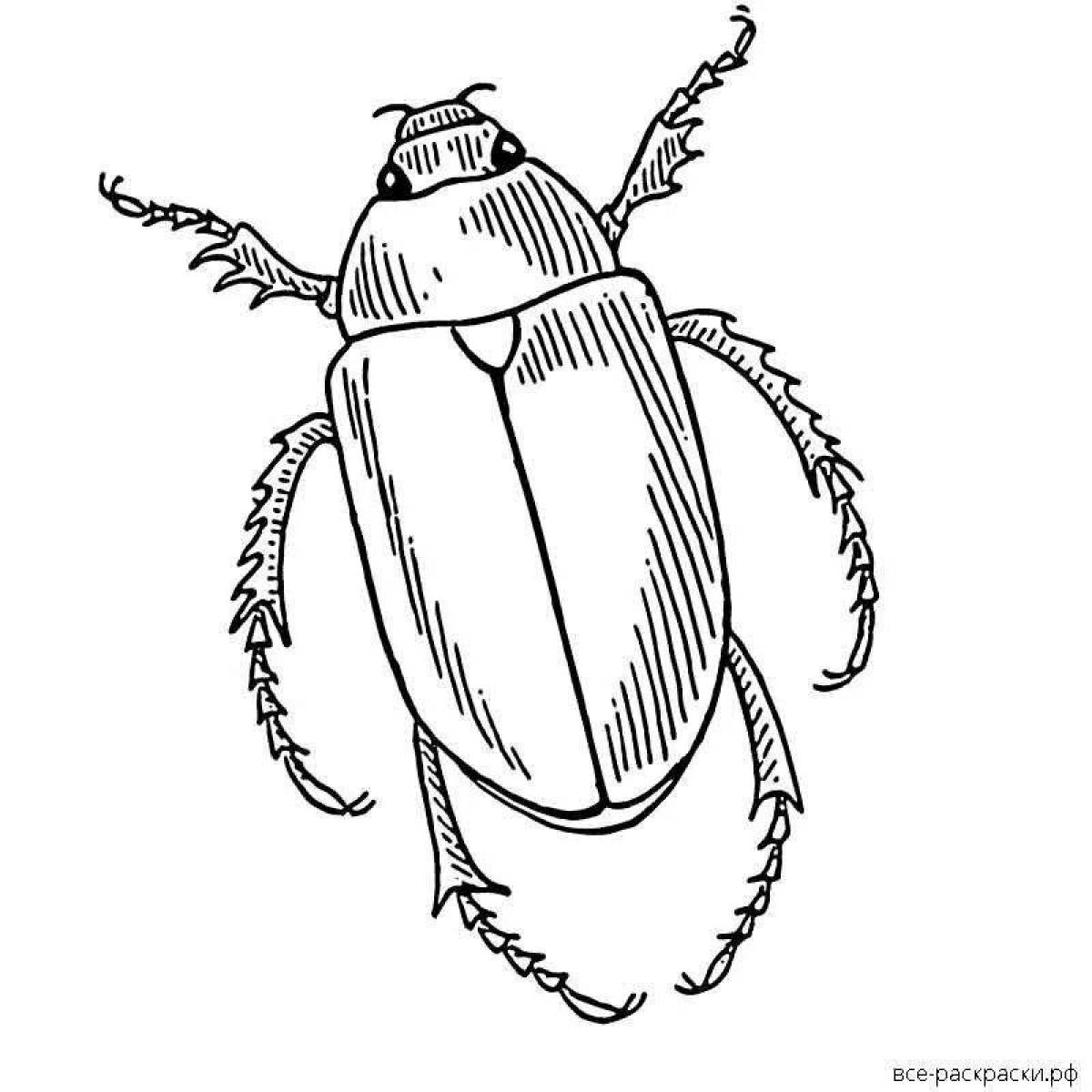 Фото Раскраска сверкающий майский жук