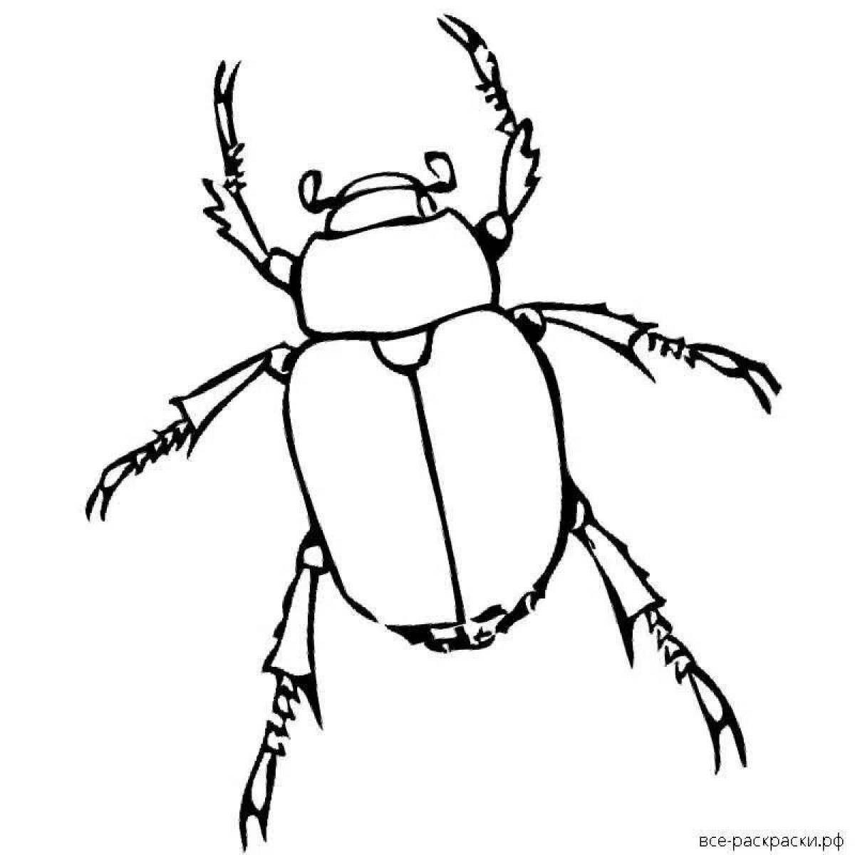 Фото Раскраска живой майский жук