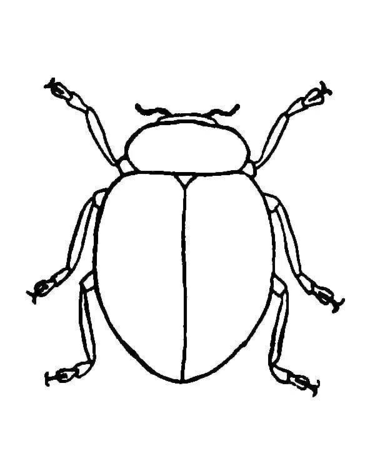 Фото Привлекательная страница раскраски майского жука