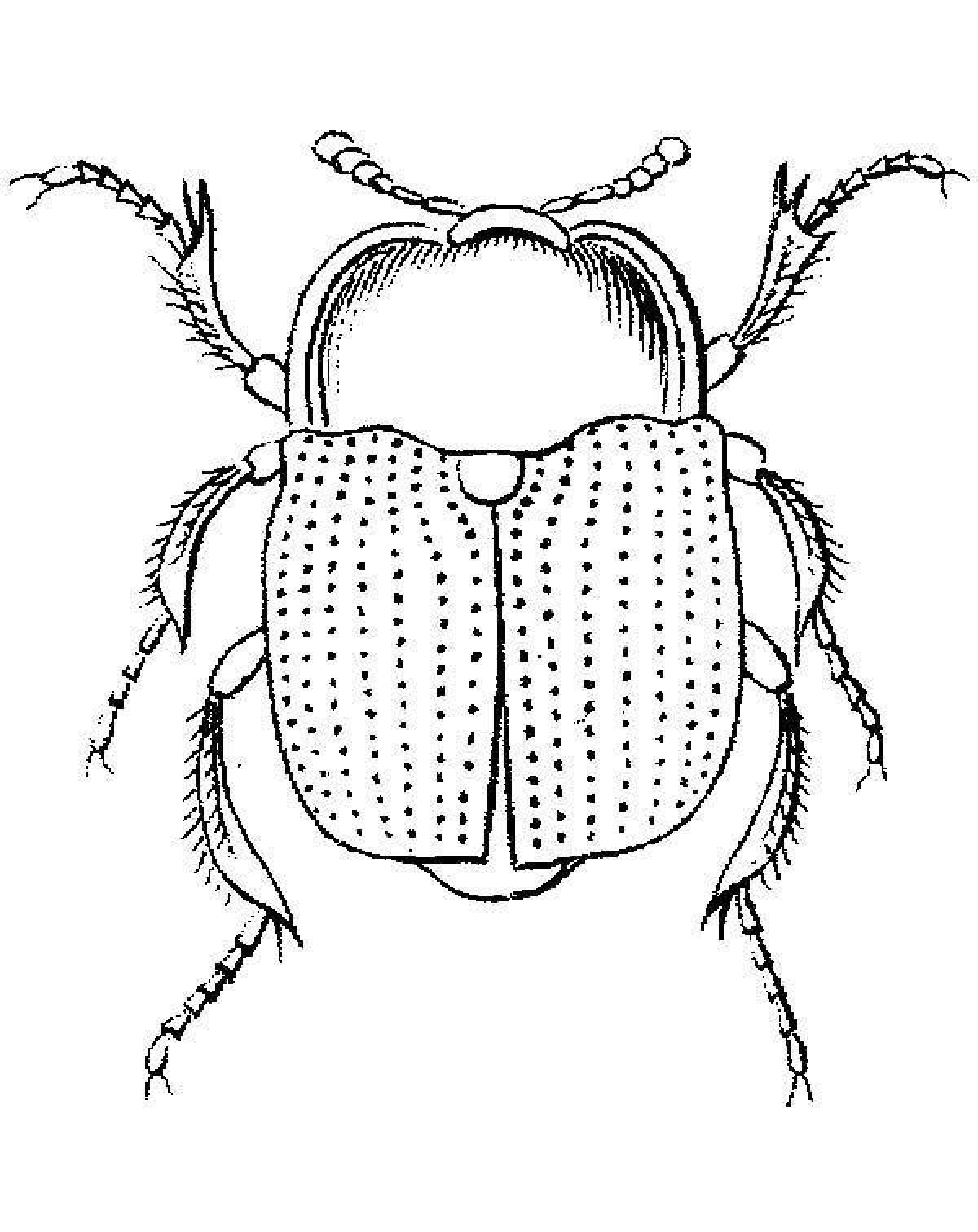 Фото Впечатляющая страница раскраски майского жука