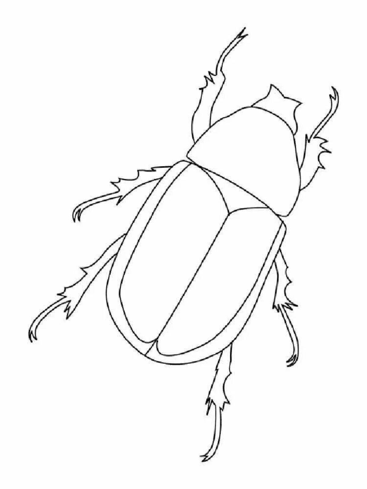 Раскраска величественный майский жук