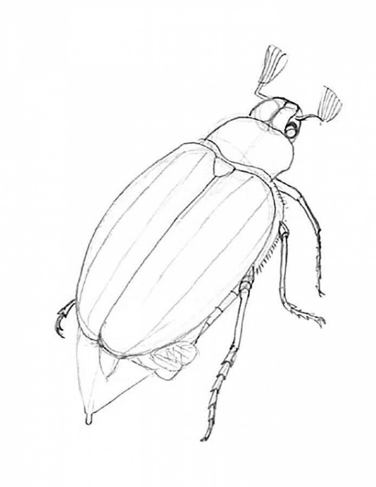 Фото Раскраска блестящий майский жук