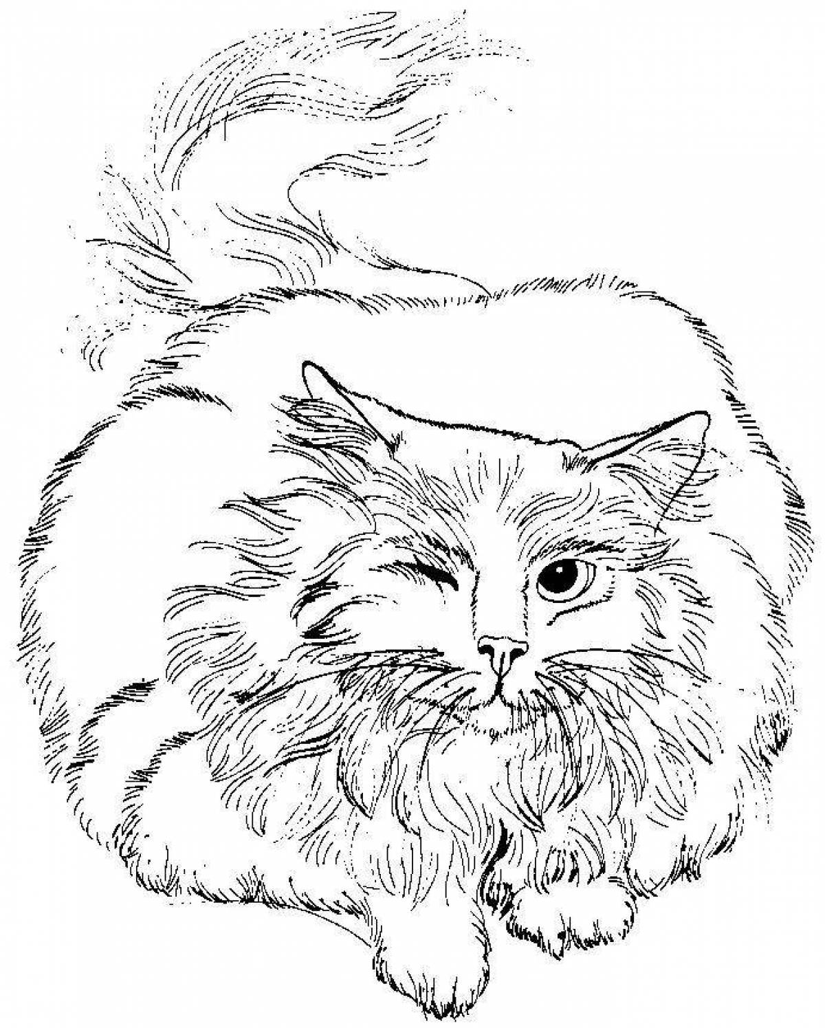 Fluffy american bobtail coloring page