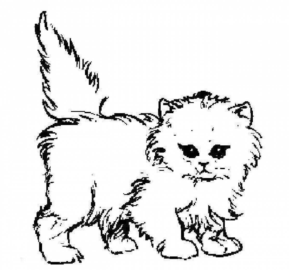 Фото Раскраска пушистый кот пикси-боб