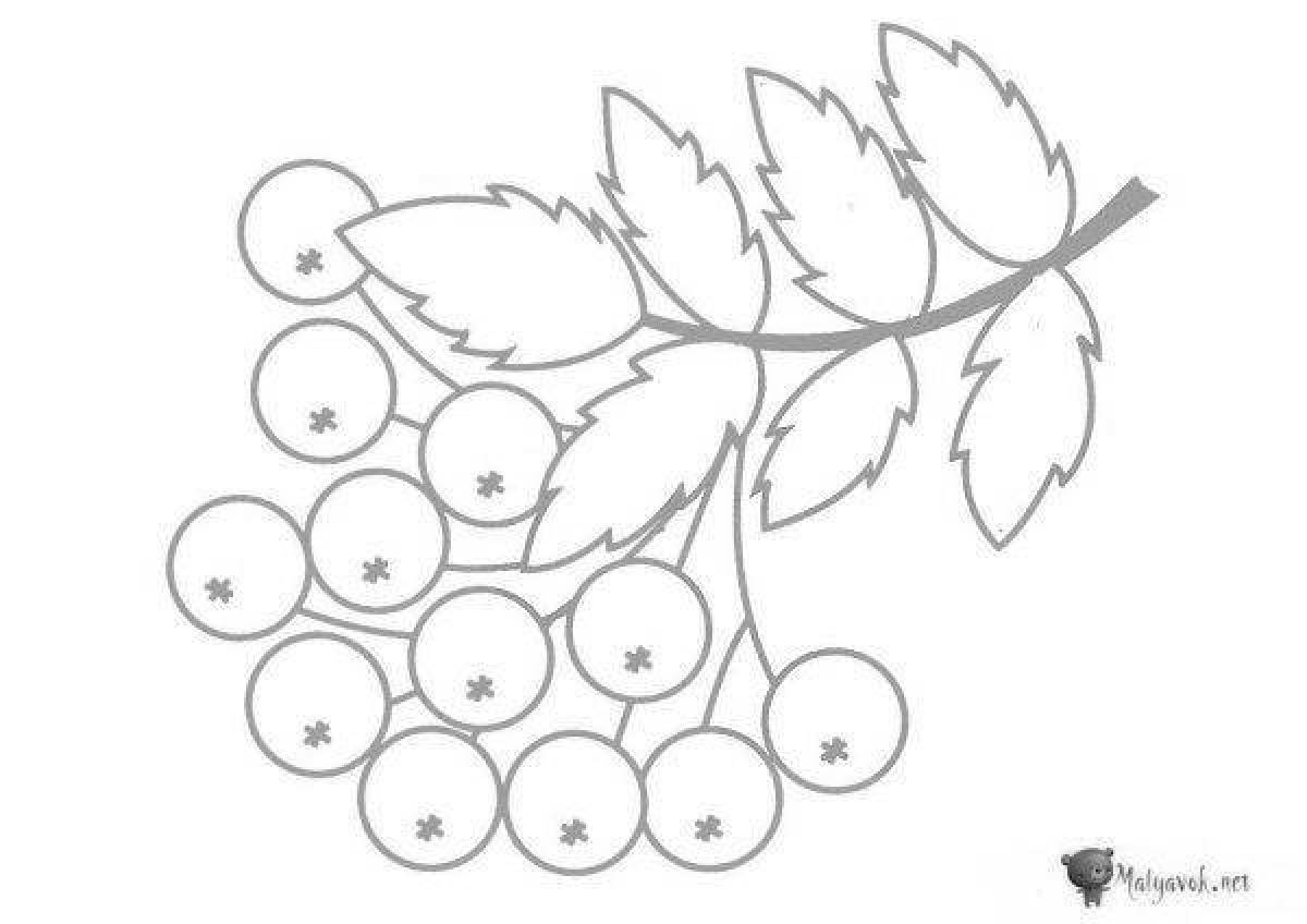 Фото Поразительная гроздь рябины