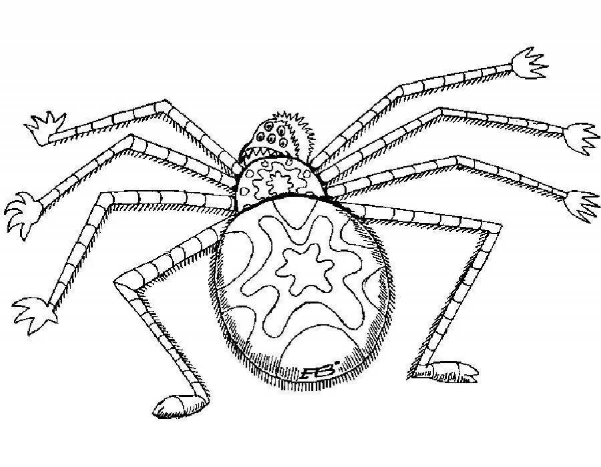 Паук картинка раскраска. Паук крестовик раскраска. Паук крестовик рисунок. Паук крестовик раскраска для детей. Паук сенокосец раскраска.