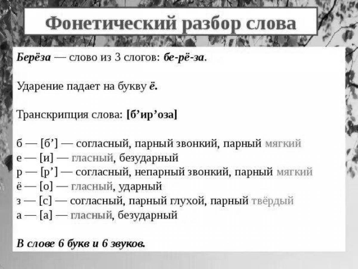 Выполни звуко буквенный разбор слова явка. Мороз фонетический разбор 3 класс. Фонетика фото. Фонетика Мороз. Фонетический разбор слова мебель.